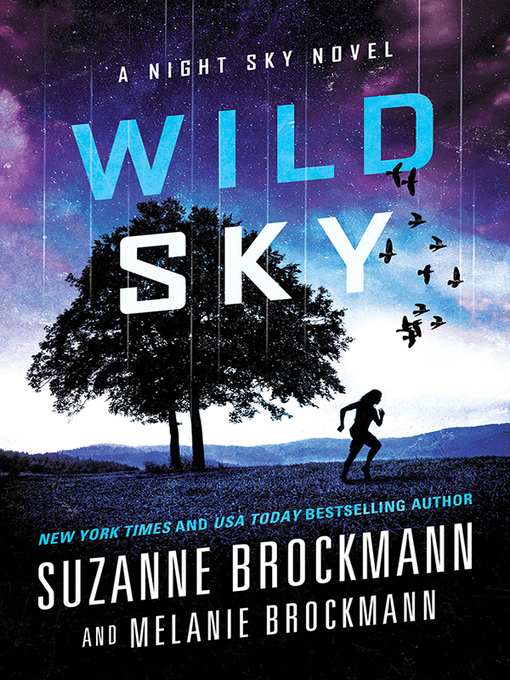 Title details for Wild Sky by Suzanne Brockmann - Wait list